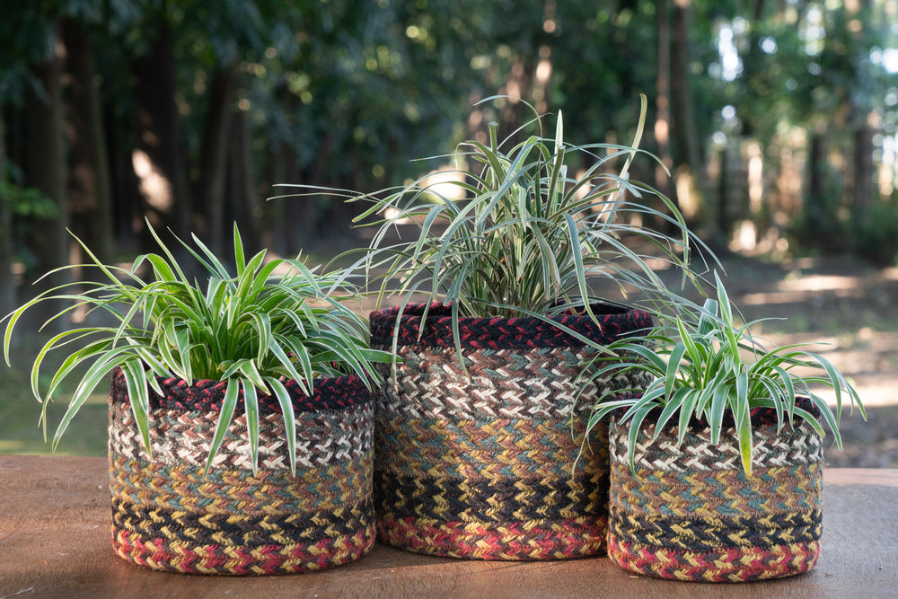Redwoods - Plant Basket Set