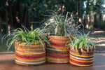 Sunburst - Plant Basket Set