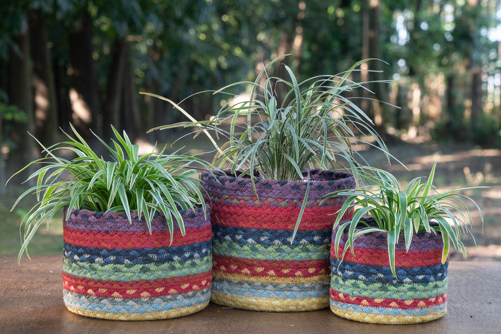 braided jute plant basket with plants
