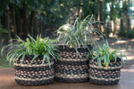 Ebony - Plant Basket Set