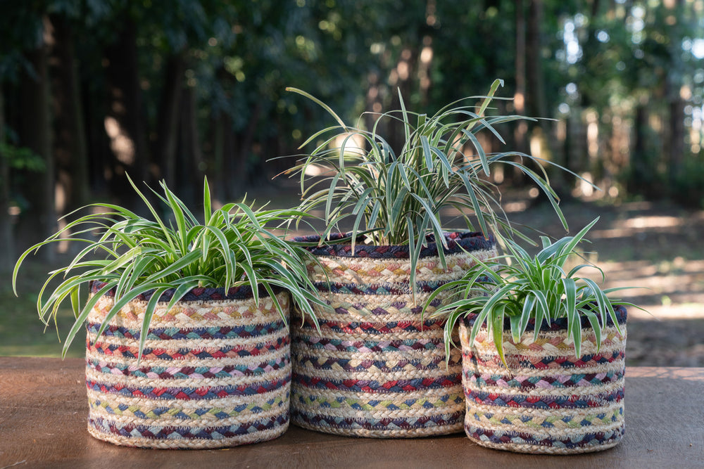 
                
                    Load image into Gallery viewer, hand braided jute plant basket with plants outdoors
                
            