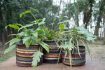 Purple Haze - Plant Basket Set